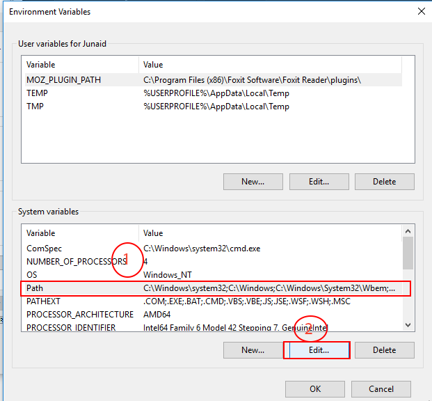 How to set the path and environment variables in Windows